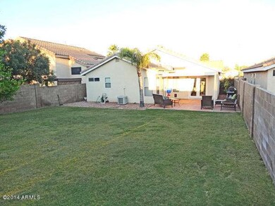 30_backyard3