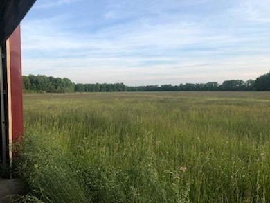 10337 Morrow Woodville Rd, Blanchester, OH 45107 - photo 5