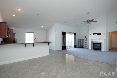 4527 N Tallgrass Ln unit 201, Peoria, IL 61615 - photo 6