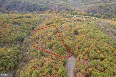 103 Eastern Cedar Ct, Paw Paw, WV 25434 - photo 4