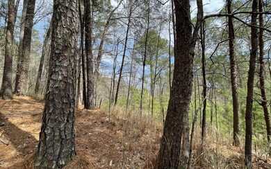 Additional View