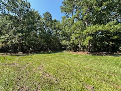 1694 Fish Rd unit 1-5, Ridgeville, SC 29472 - photo 6