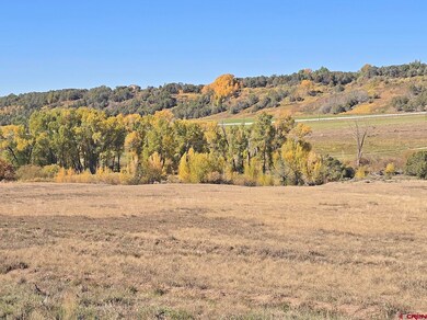 1308 Wrangler Way, Durango, CO 81303 - photo 4