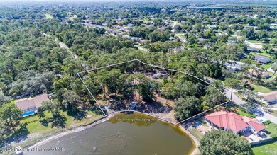Aerial View (2)