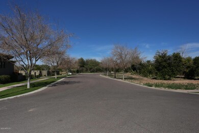 Legacy Street