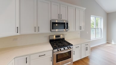 Lot 133 Blue Heron Ct, Channahon, IL 60410 - photo 5