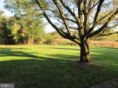 10805 Dumfries Rd, Manassas, VA 20112 - photo 6