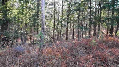 114 Weare Rd, Henniker, NH 03242 - photo 5