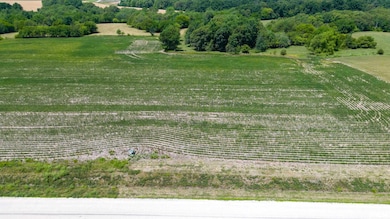 2530 Olof Krans Ave, Galva, IL 61434 - photo 2