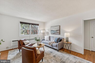 4324 2nd Rd N unit 43242, Arlington, VA 22203 - photo 7