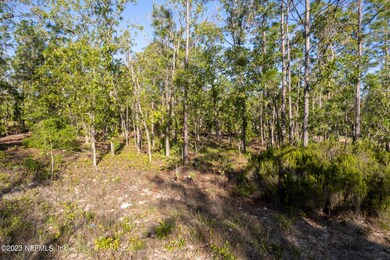 3) 38117-65650f9615bd6