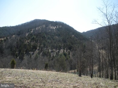 0 Moyers Gap Rd unit 1002486108, Sugar Grove, WV 26815 - photo 4