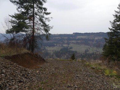 1762 Tranquil Lane (#4), Orofino, ID 83544 - photo 4