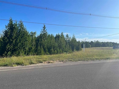 TBD Atkins & Division Roads, Petoskey, MI 49770 - photo 3