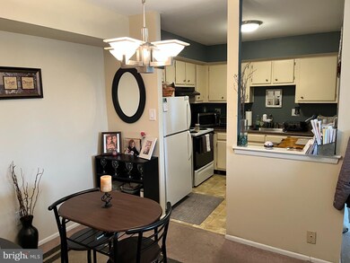 Altemus Farms unit N21, Brookhaven, PA 19015 - photo 5