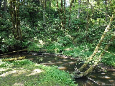 176 Pilots Pasture, Winlock, WA 98596 - photo 4