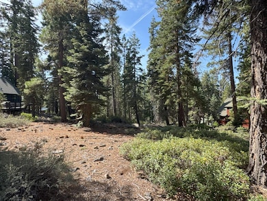 5255 N Lake Blvd, Carnelian Bay, CA 96140 - photo 2