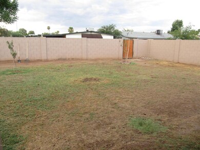 BACKYARD1