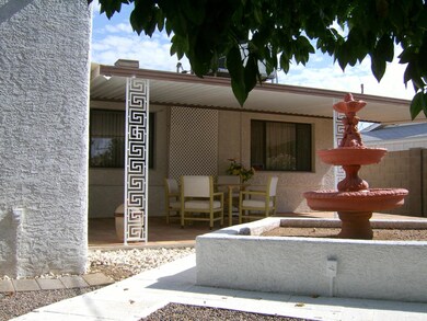 back yard and fountain