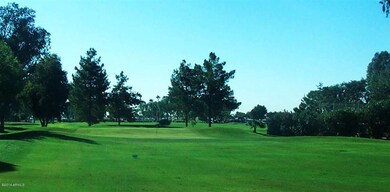 Beautiful Golf Course in Sunland Village