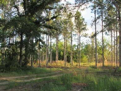 00 Hurst Tate Rd, Meigs, GA 31765 - photo 6