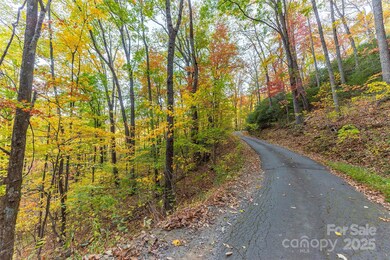 TBD Summer Haven Rd unit 1-6, Swannanoa, NC 28778 - photo 3