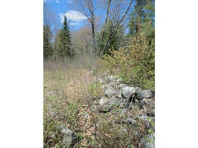 Land/Lot.