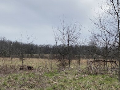 0 Unionville Deason Rd unit RTC2366203, Bell Buckle, TN 37020 - photo 3