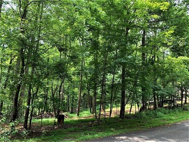 37 Wolf River Ln unit 37, Lake Lure, NC 28746 - photo 4