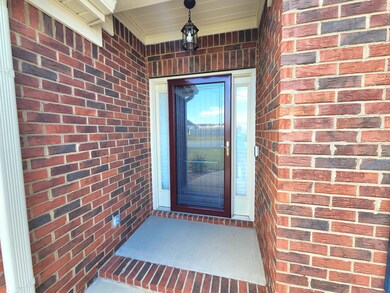Storm Door