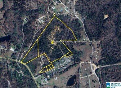 23 Acres Truman Aldrich Pkwy unit 23 ACRES, West Blocton, AL 35184 - photo 7