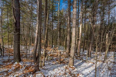 505 Shirley Hill Rd unit A, Goffstown, NH 03045 - photo 5