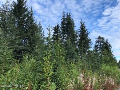 L1-4,L6-21 Gateway Rd, Anchor Point, AK 99556 - photo 3