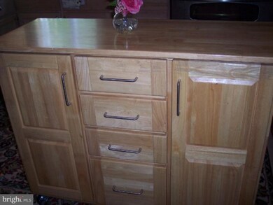 10741 Horseshoe Ln, Worton, MD 21678 - photo 4