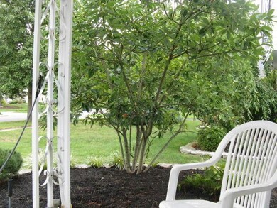 looking out from porch