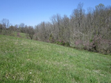 1100 Polin Rd, Willisburg, KY 40078 - photo 7