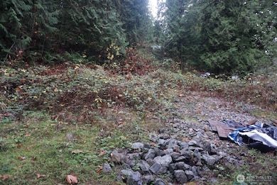 4703 Ames Lake Carnation Rd NE, Redmond, WA 98053 - photo 6