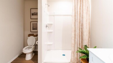 Bathroom featuring vanity, wood finished floors, and a shower stall