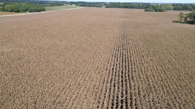 0 Nuthatch Ave unit 25860385, Bloomfield, IA - photo 6