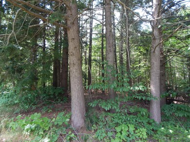 DSCN1047