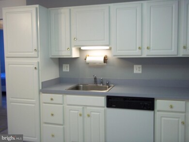 2013 Rudy Serra Dr unit 2A, Sykesville, MD 21784 - photo 6