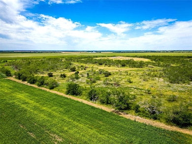 32 Ac. Alexander Rd, Moody, TX 76557 - photo 3