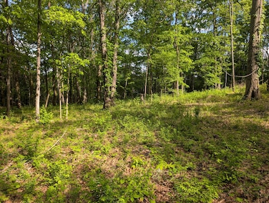 0 Bluff Rd unit RTC2823780, Brentwood, TN 37027 - photo 6