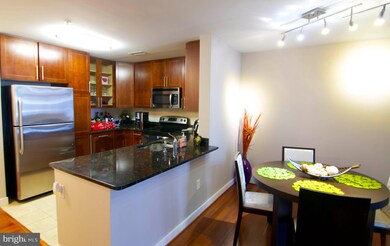 One National Harbor unit 314, Oxon Hill, MD 20745 - photo 6