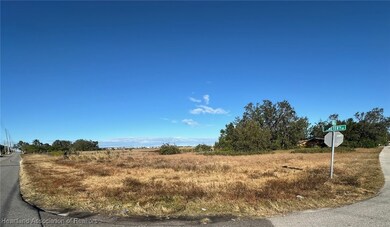 1207 Lake Lucas Dr, Sebring, FL 33870 - photo 2