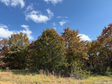 81 Summer Sky Dr, Greenbrier, AR 72058 - photo 2