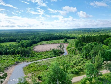 282 Cole Rd, Carthage, NC 28327 - photo 3