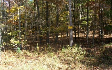 LOT 3 Peter Knob Rd, Blue Ridge, GA 30513 - photo 2