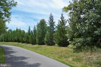 25 Weber Ln, Berkeley Springs, WV 25411 - photo 4