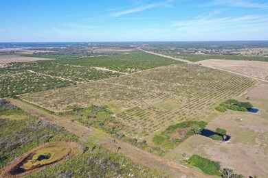 5020 Kenilworth Blvd, Sebring, FL 33870 - photo 7